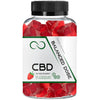 Balanced Dose 25 MG CBD Gummy